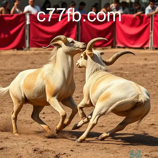 Rinha de galos